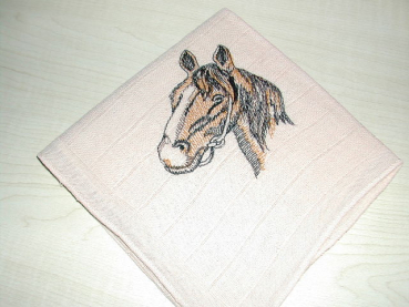 Nuscheli 80x80 bestickt