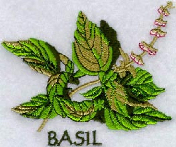 Motiv BASILIKUM