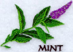 Motiv Minze